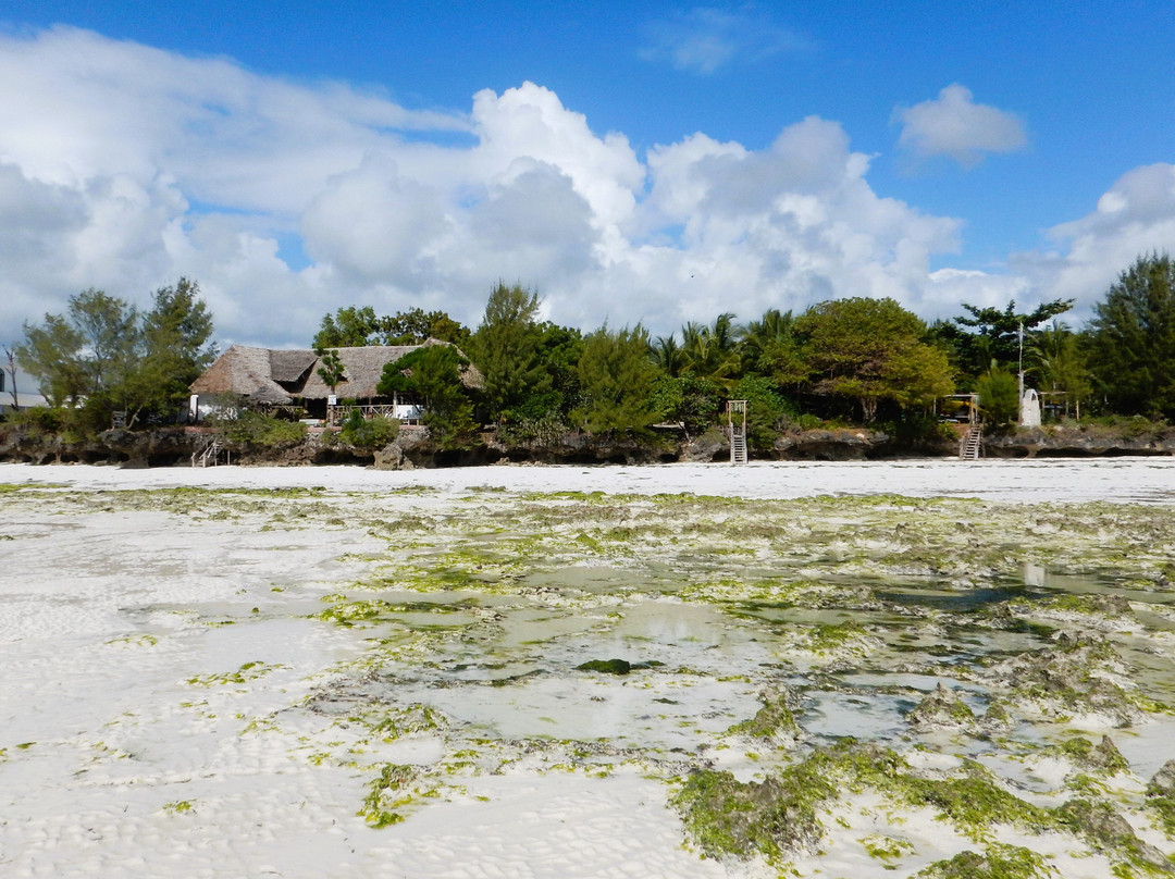 穆布芋泥沙滩酒店主图