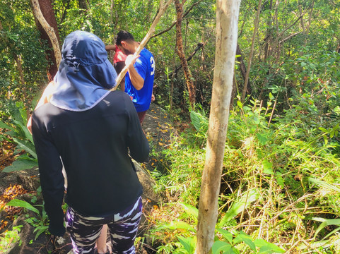 Island Trail Adventures-圣 托马斯必去景点