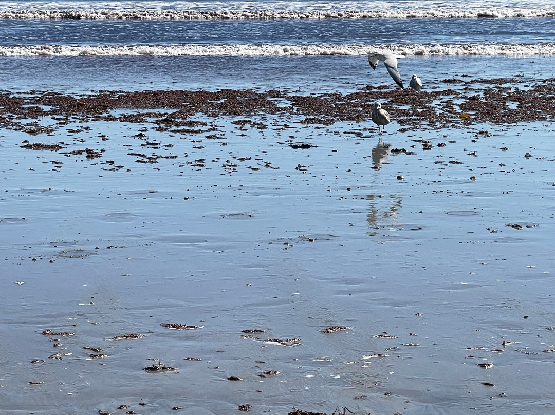 Holiday Inn Express & Suites Hampton South-seabrook By IHG主图