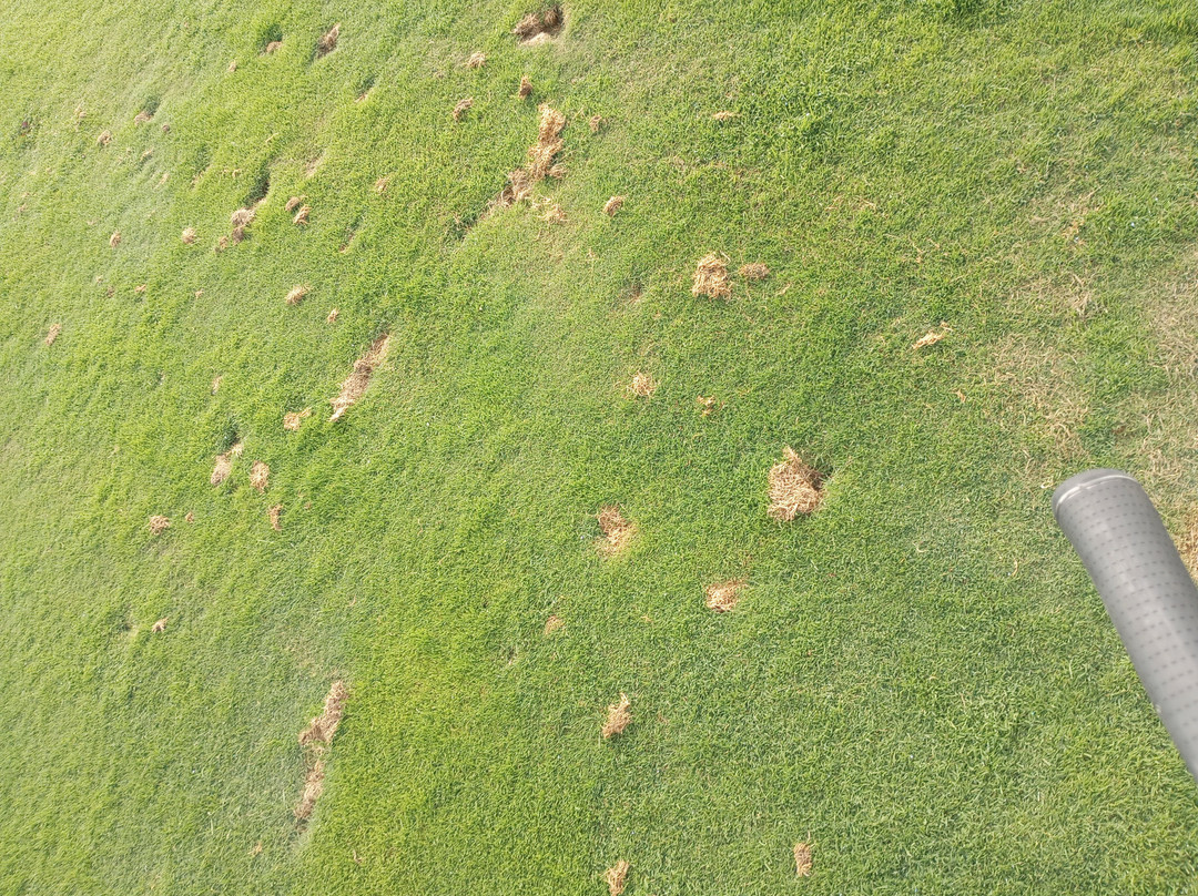 Awarii Dunes Golf Club-Axtell必去景点