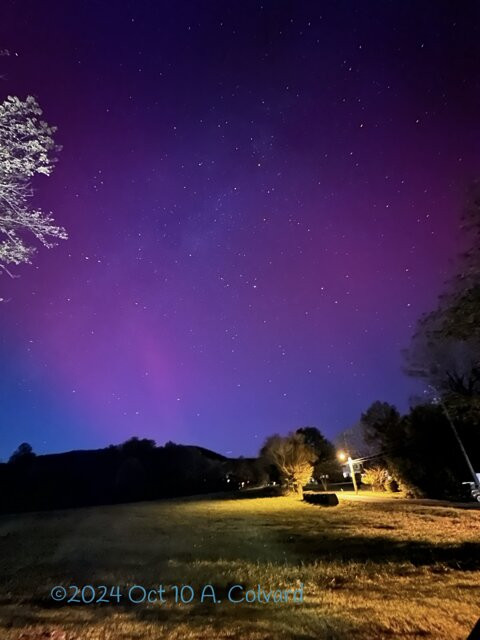 The White Moose Inn主图