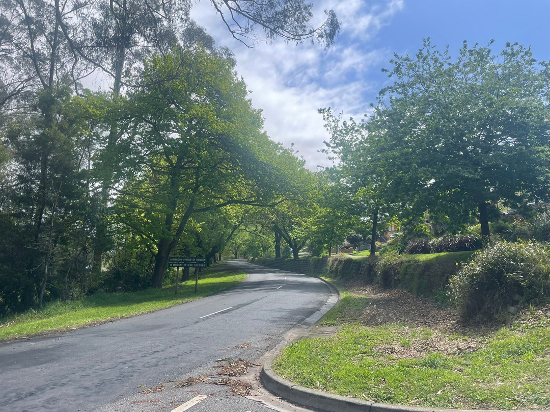 Gembrook Avenue Of Honour