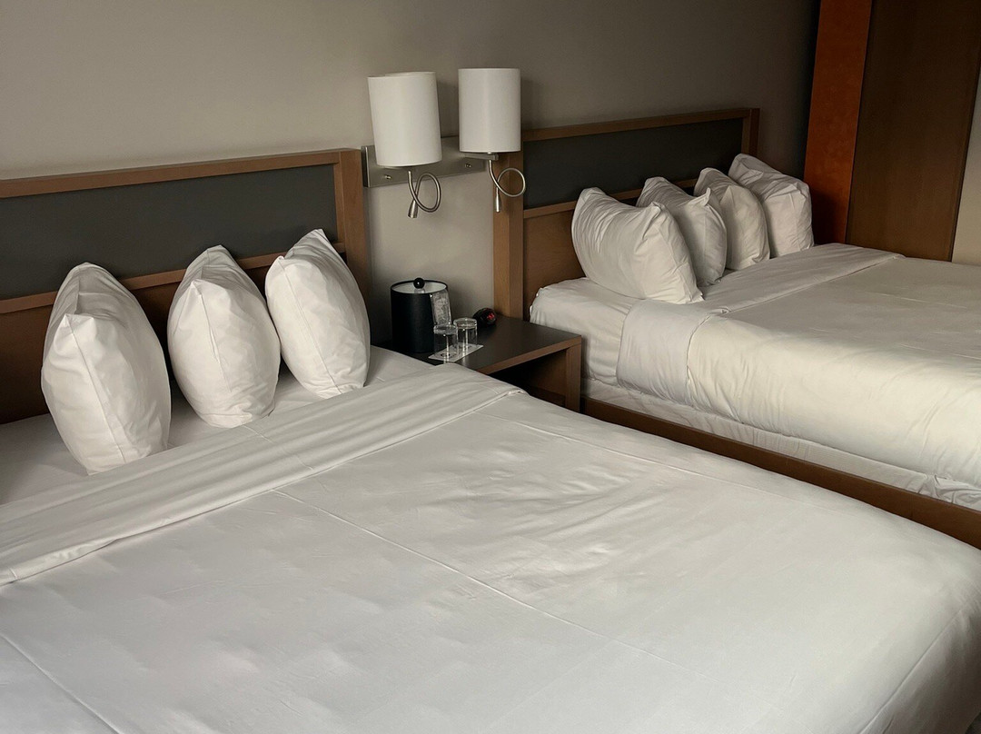 Hôtel Cofortel主图