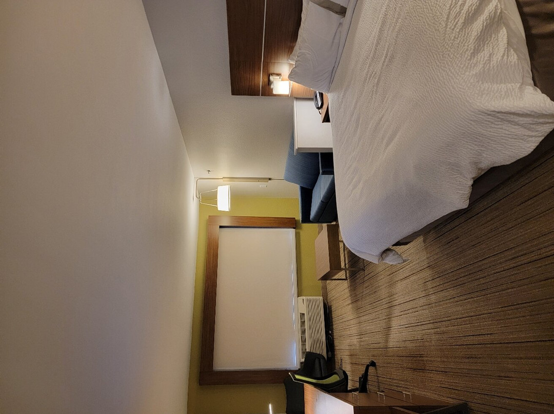 Holiday Inn Express & Suites Kokomo South By IHG主图