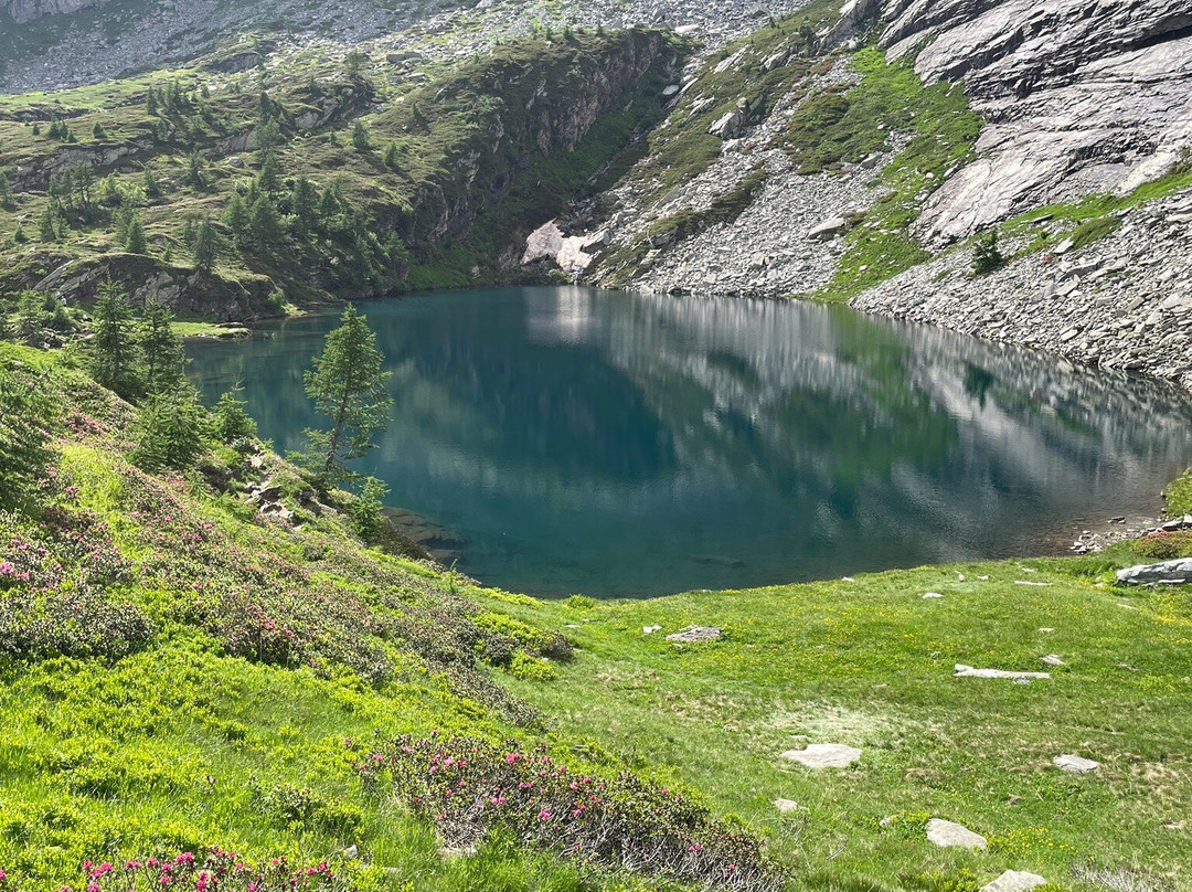 Laghi Del Paione Val Bognanco