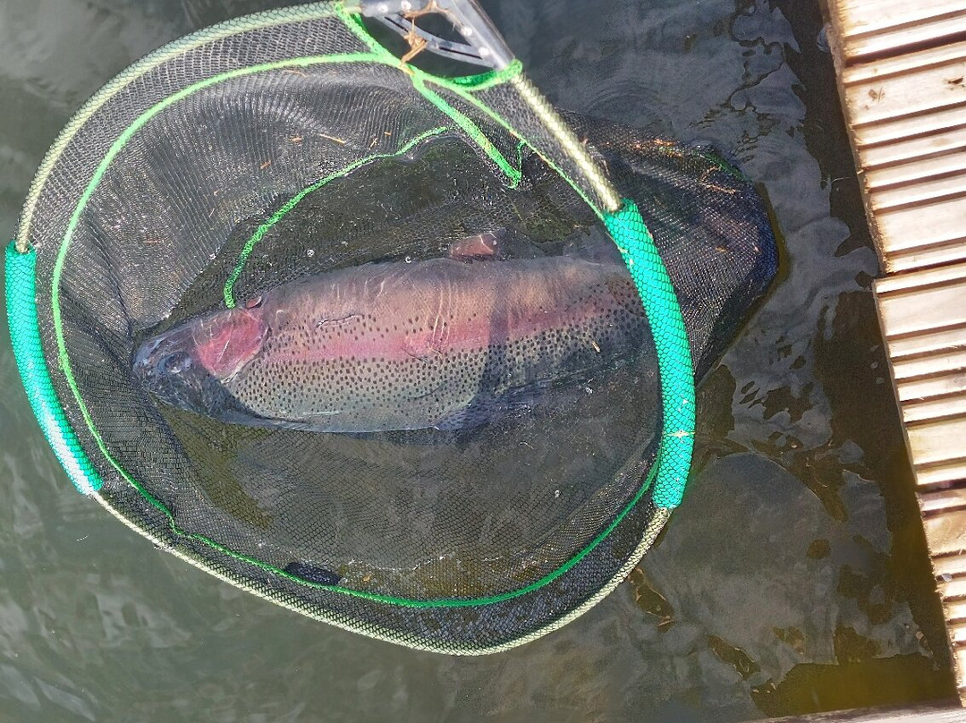 Birchwood Fishery-Drumquin必去景点