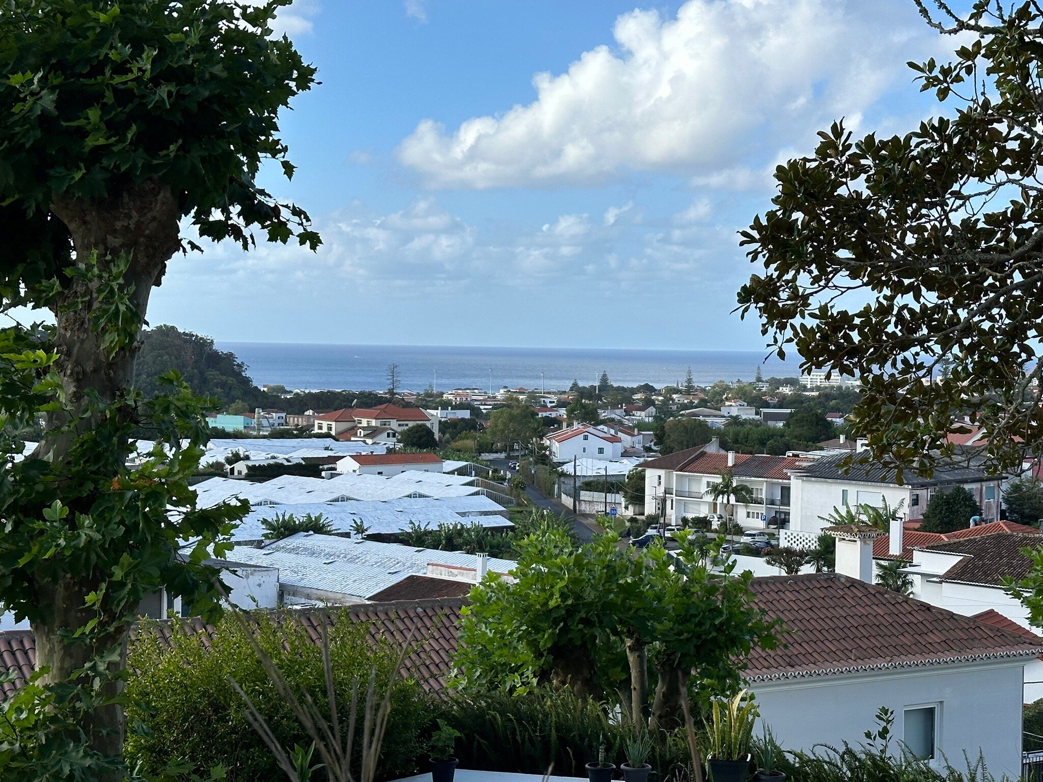 Quinta da Abelheira-官方