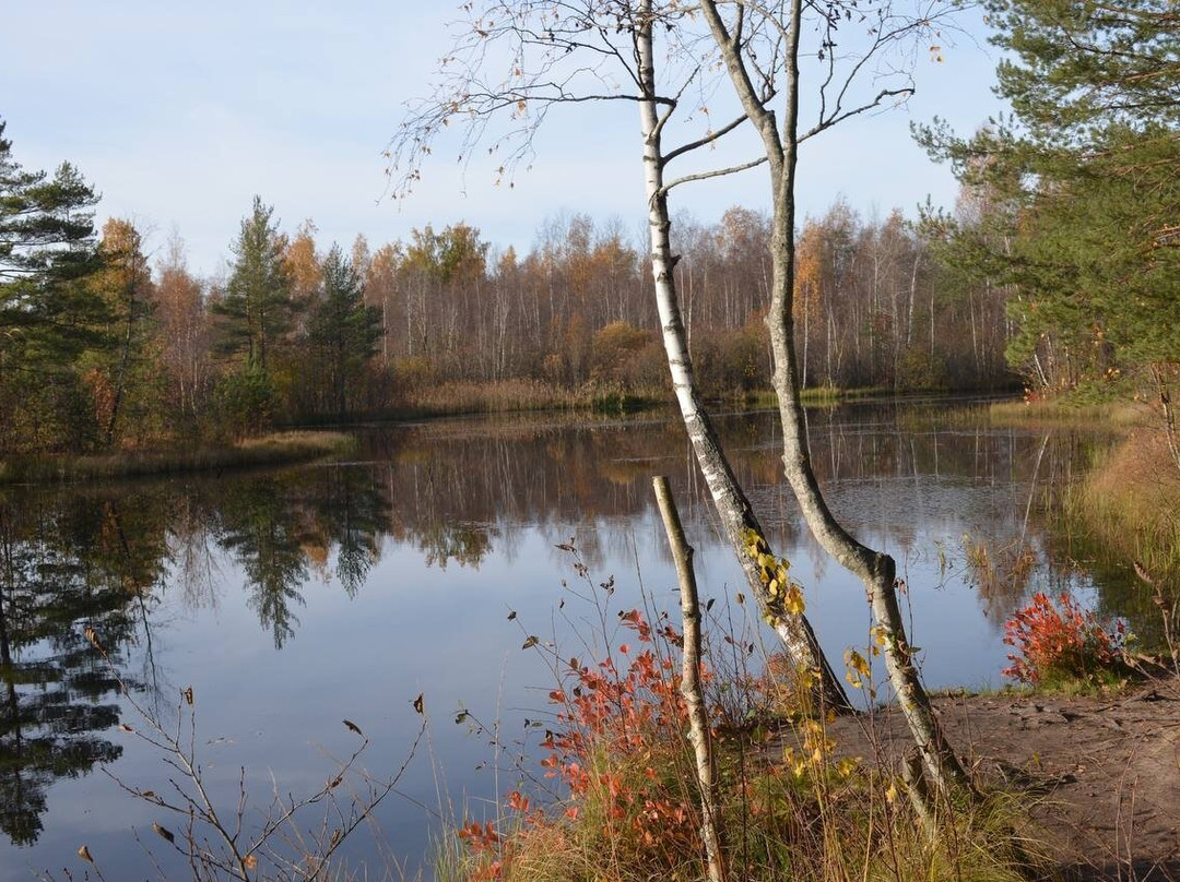 Eco Trail Sestroretskoye Swamp-Beloostrov必去景点