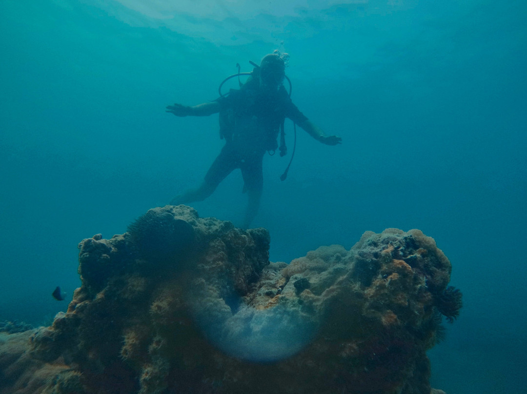 Diving paradise zanzibar-Kendwa必去景点
