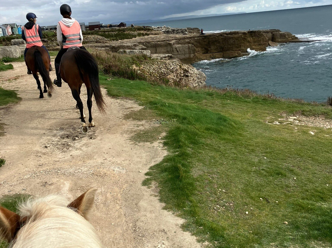 Chesil Equestrian Centre-Isle of Portland必去景点