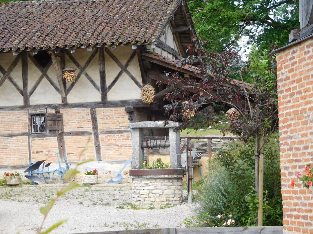 Ecomuseum Maison de Pays en Bresse-Saint-Etienne-du-Bois必去景点