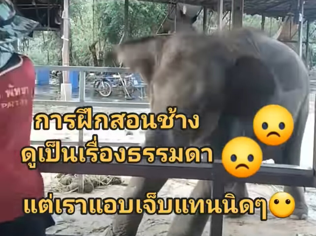 SUANTHAI PATTAYA-Ban Huai Yai必去景点