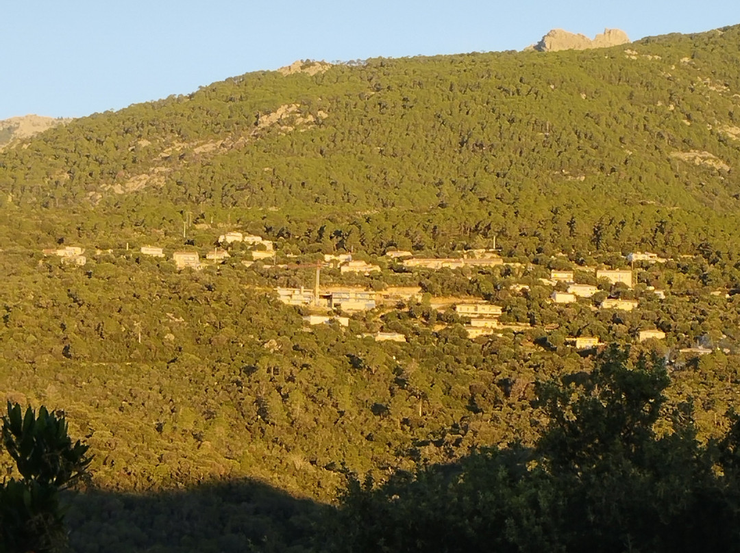 Les Petites Maisons主图