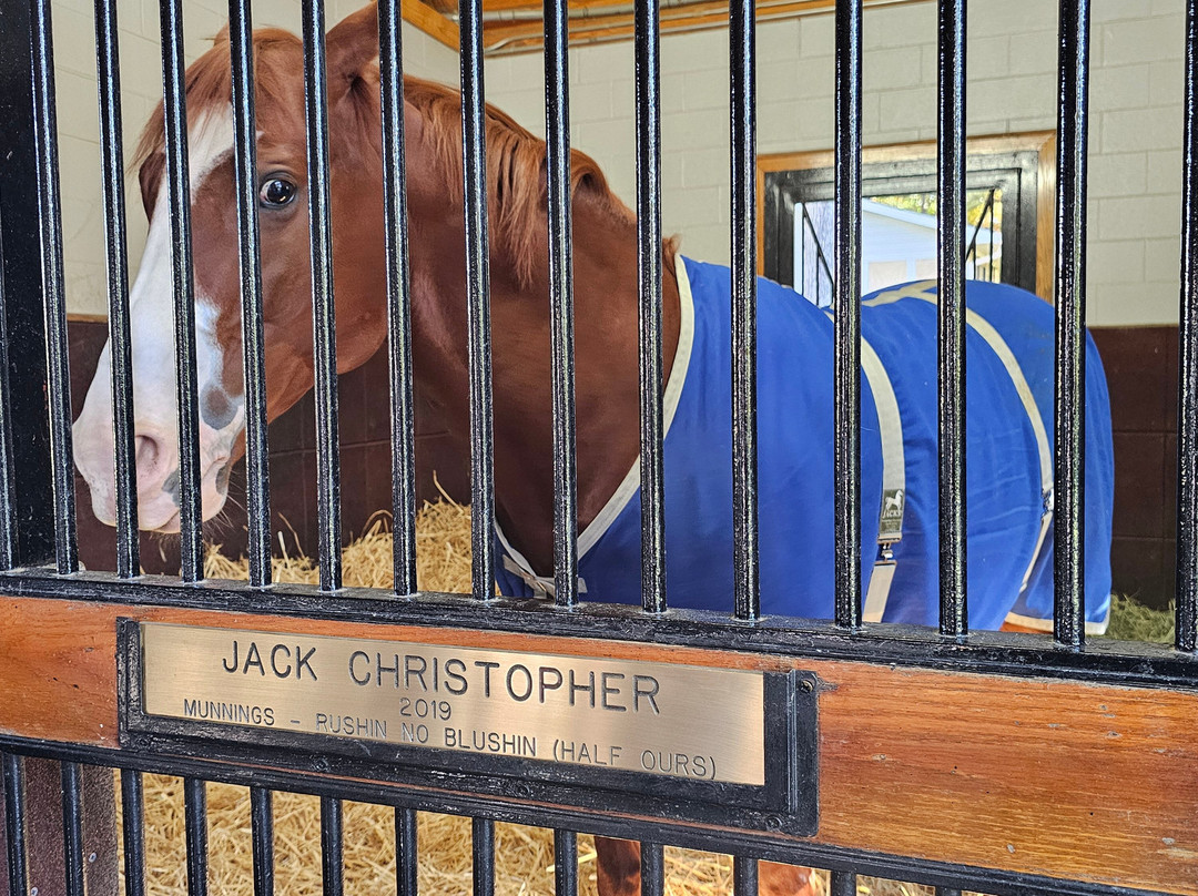 Coolmore America - Ashford Stud-Versailles必去景点