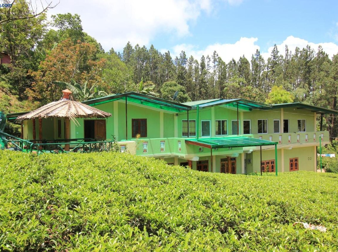 Narra Homestay