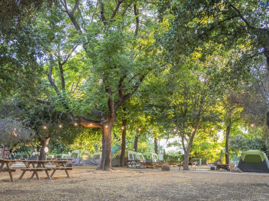 Camping Dafna - By Travel酒店链