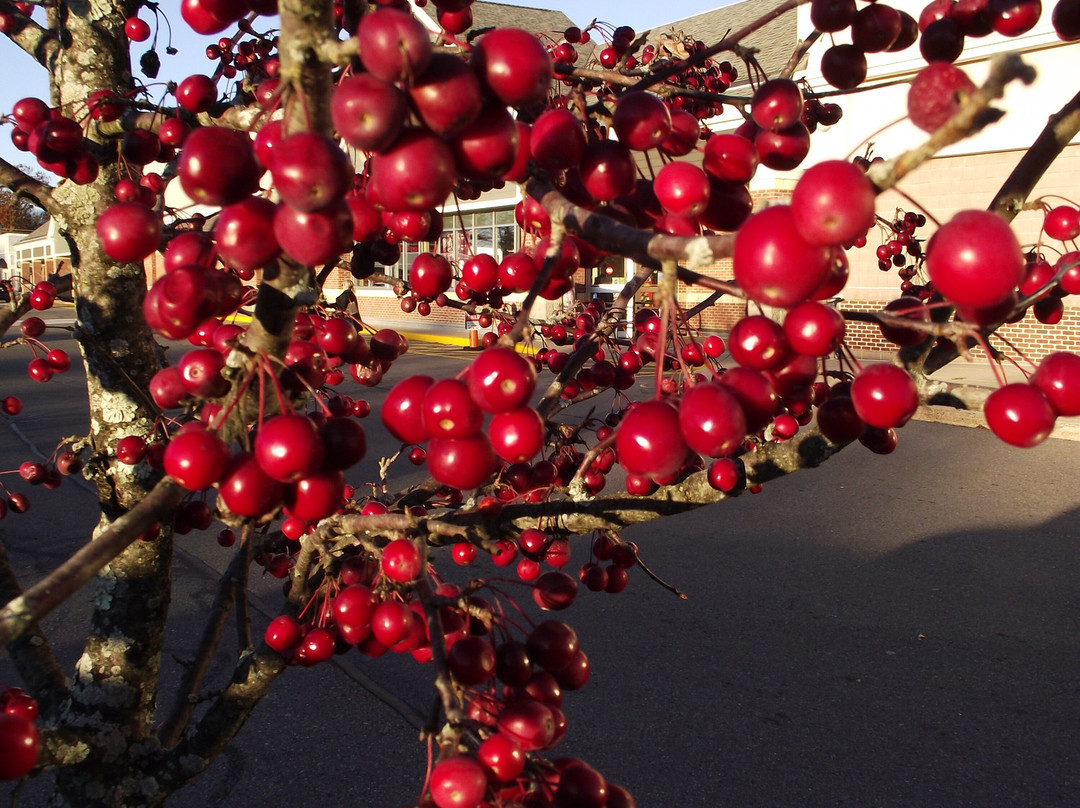 Lafayette Crossing-North Hampton必去景点