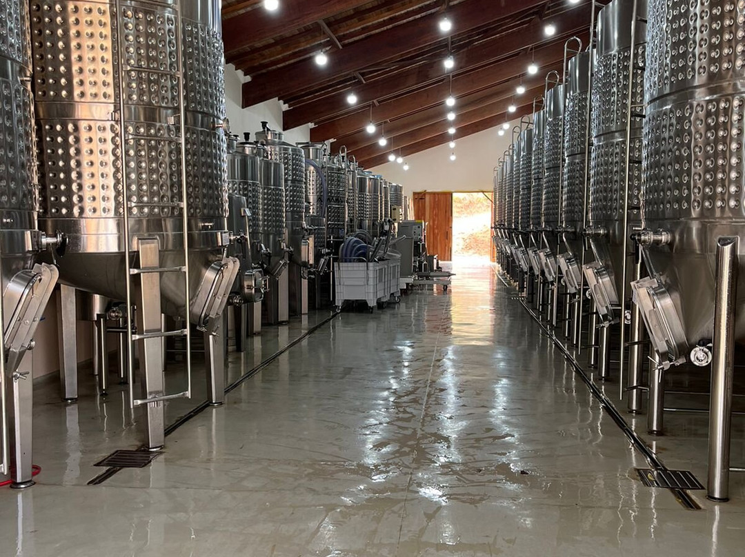 Vínicola Terra Nossa-Espirito Santo Do Pinhal必去景点