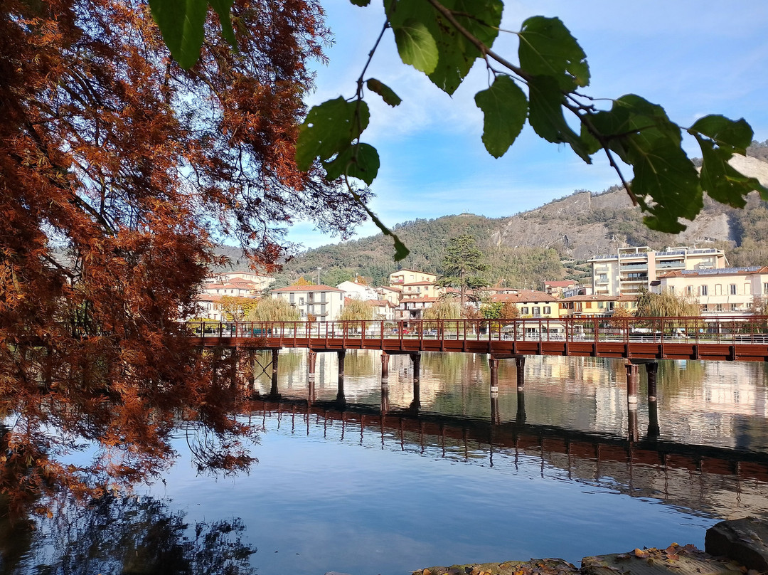 Parco dei TAXODI景点图片