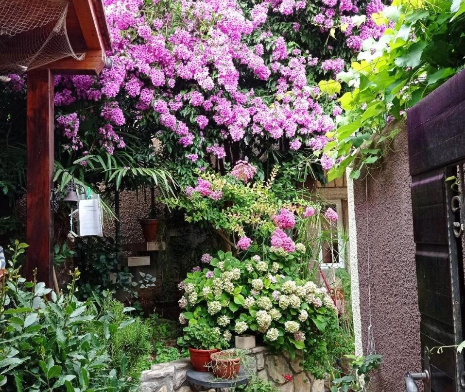 Apartman I Sobe Čule Cres
