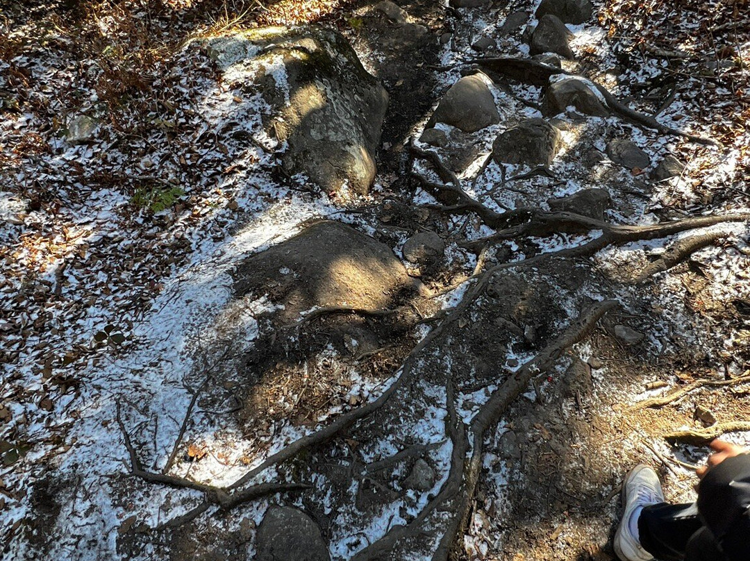 Mont Kaaikop-Sainte-Lucie-des-Laurentides必去景点