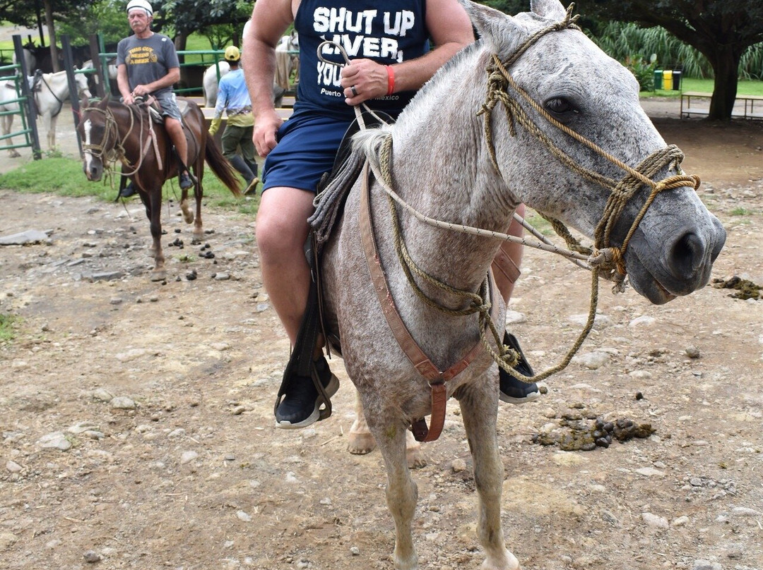 Esteban Great Adventures-利比里亚必去景点