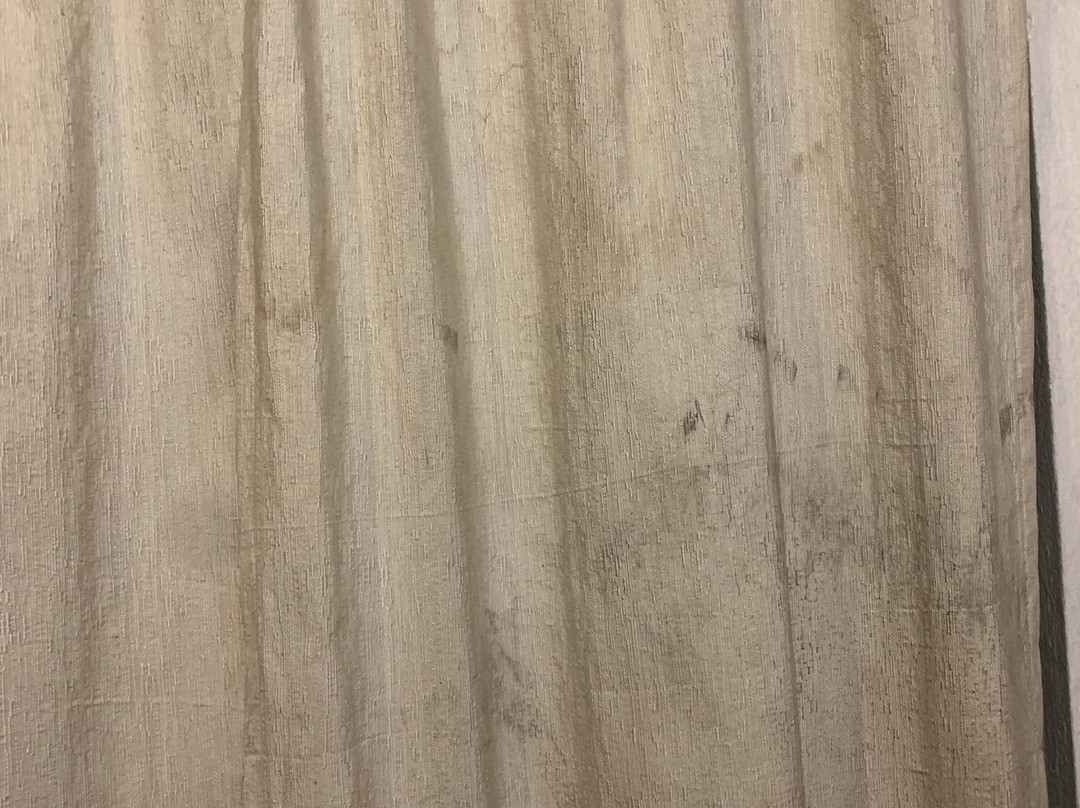 巴克塔普尔酒店主图