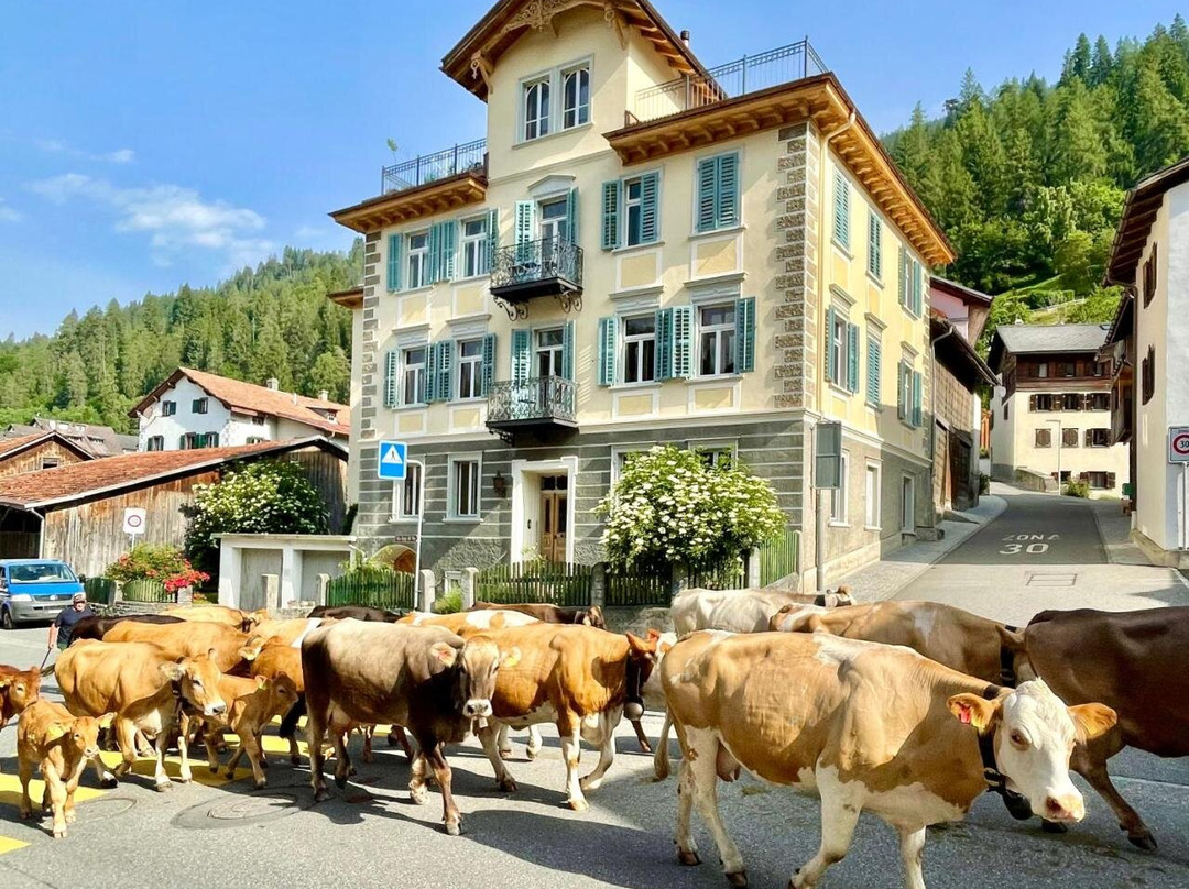 Feldis/Veulden旅游攻略图片