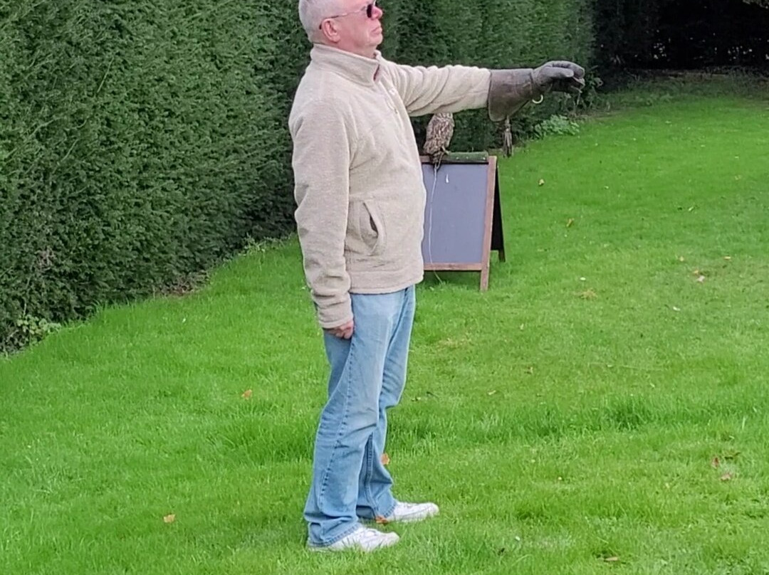 WYE VALLEY FALCONRY景点图片