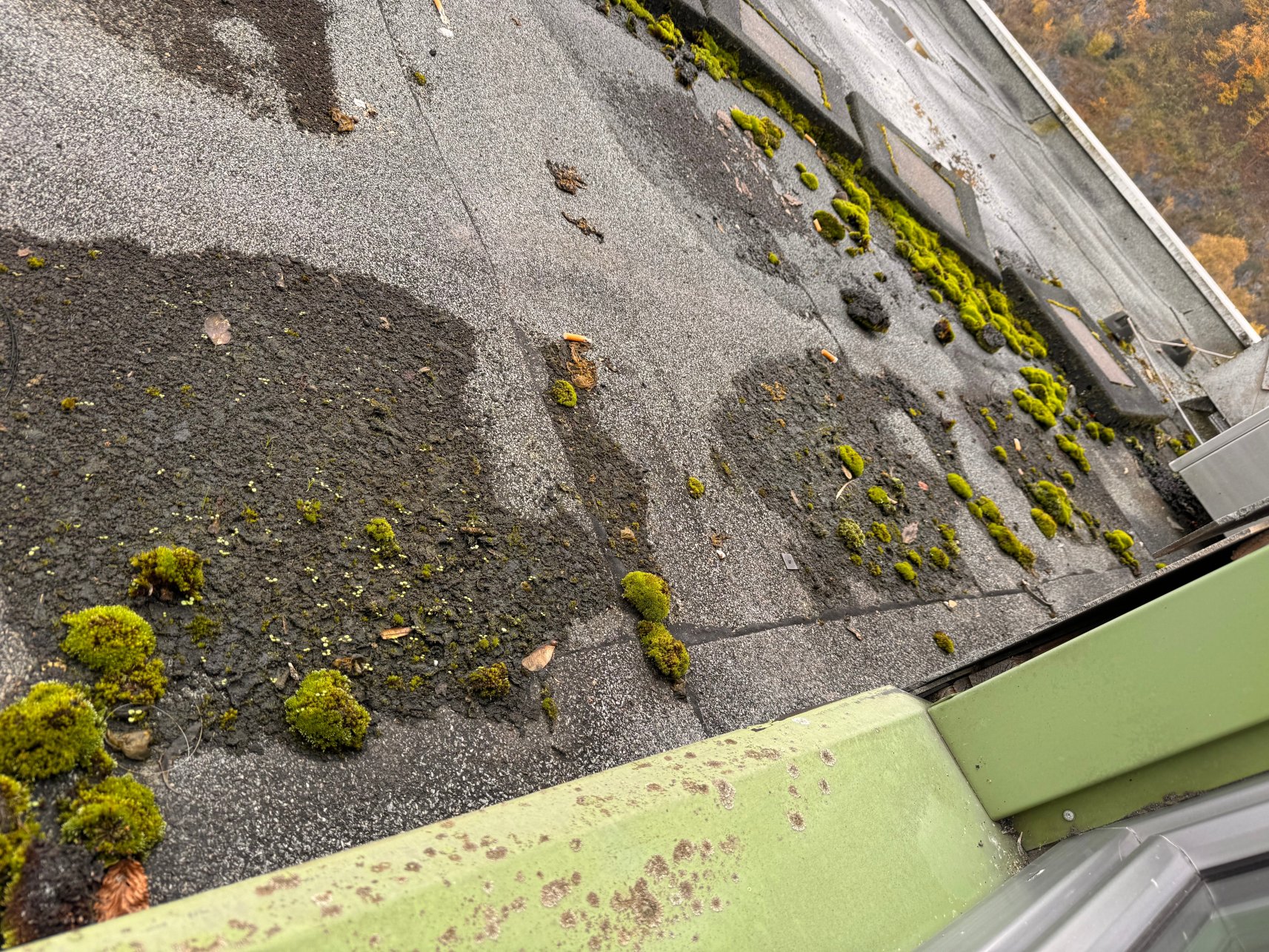 哈根美居酒店-酒店景观