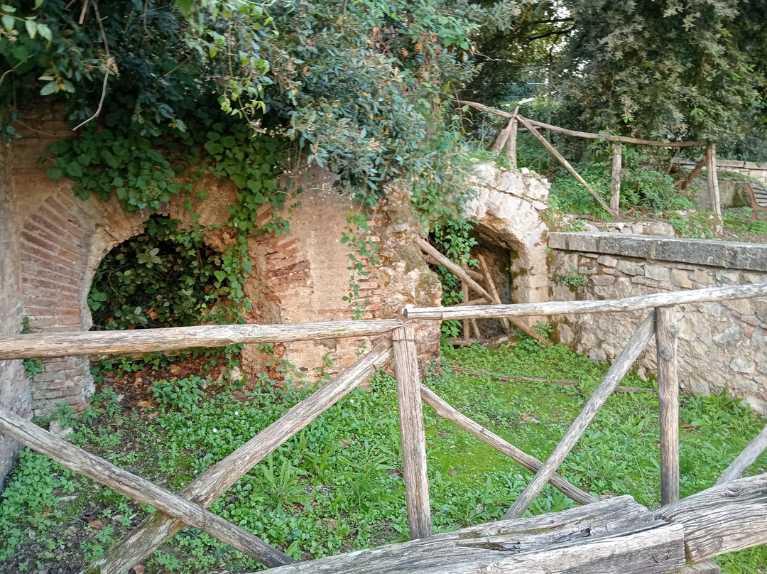 Terme Romane景点图片
