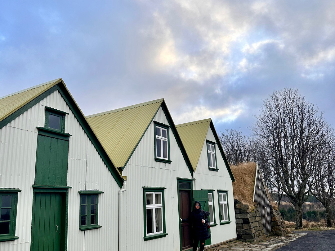 露天民俗博物馆-雷克雅未克必去景点