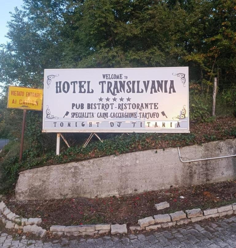 Transilvania Hotel主图