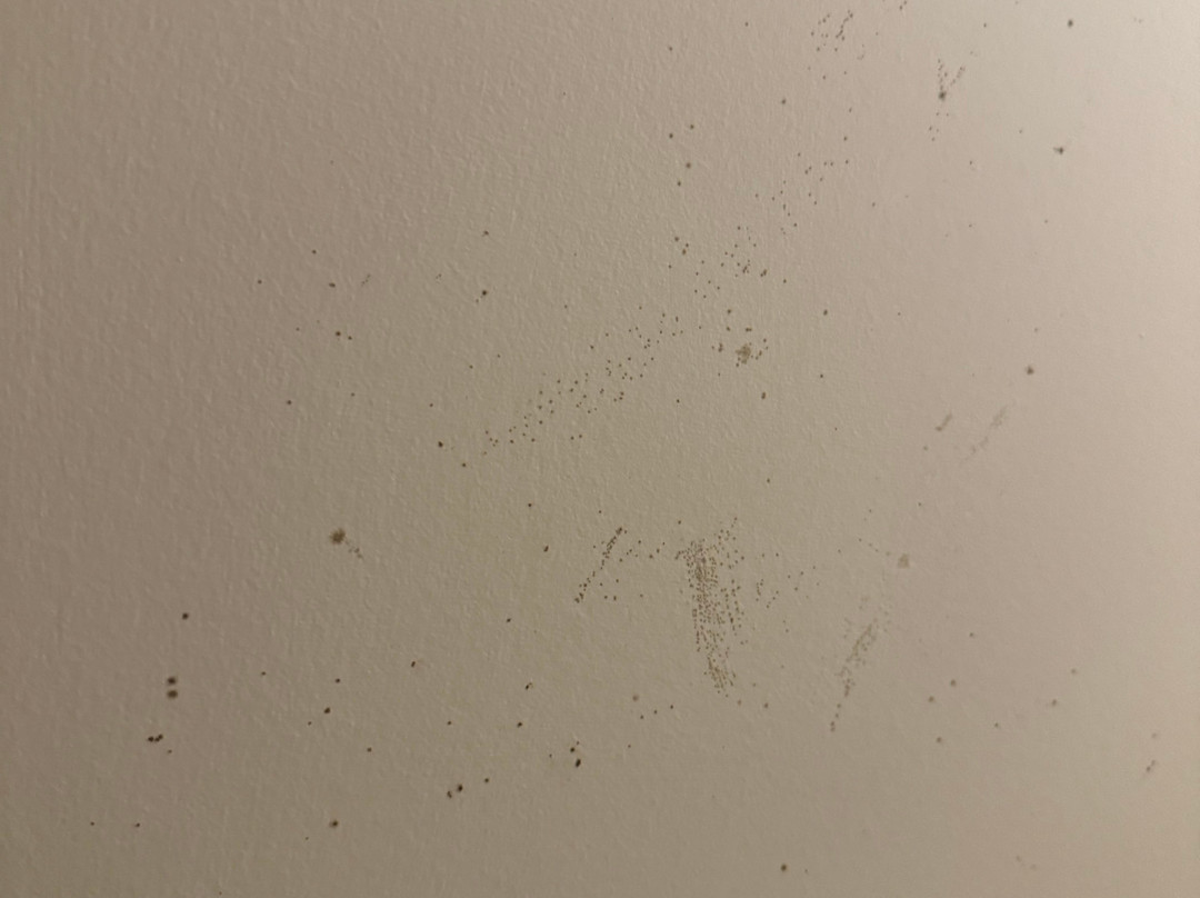 Charlevoix Inn & Suites SureStay Collection by Best Western主图