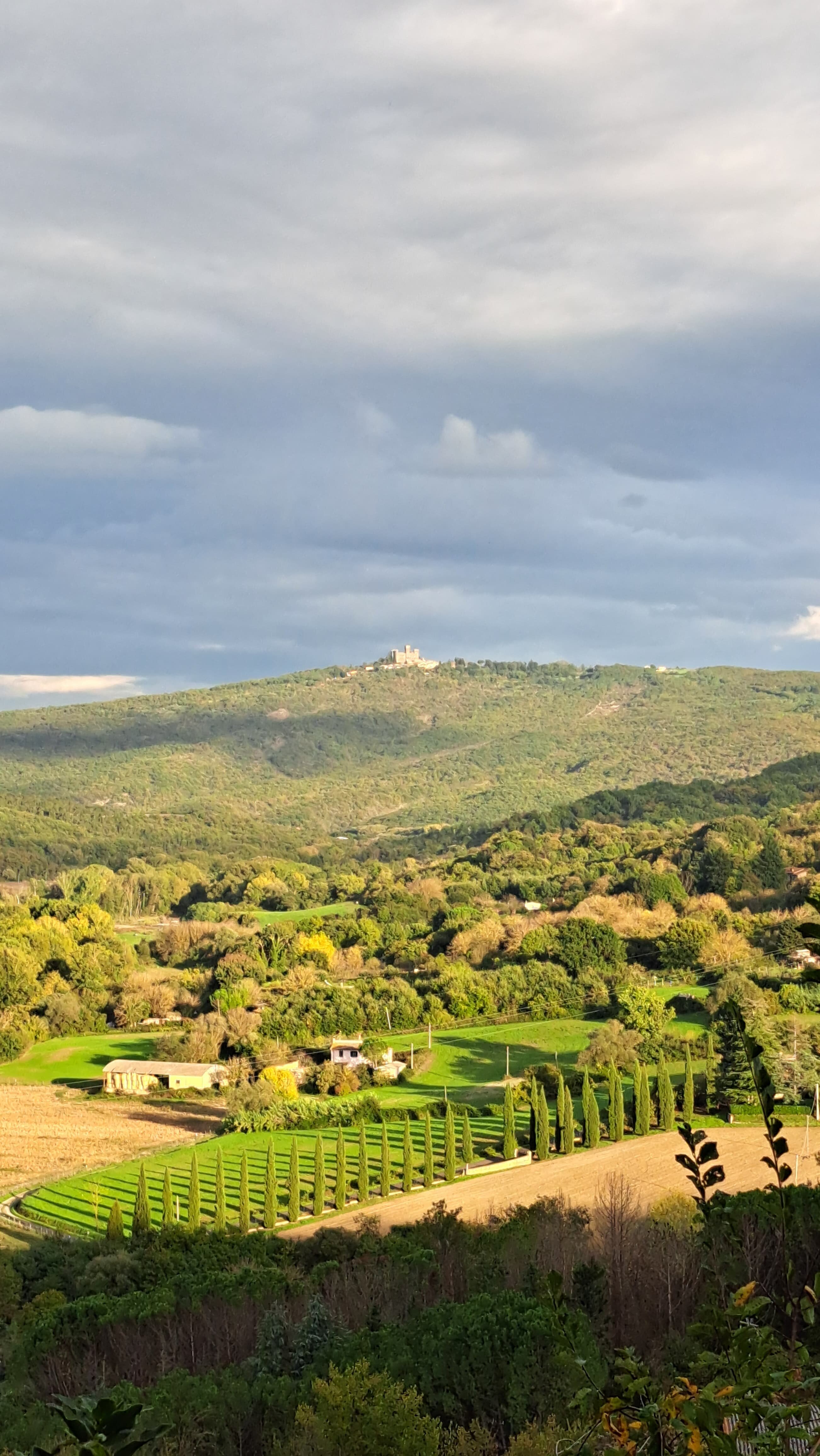 Casale le Crete-官方