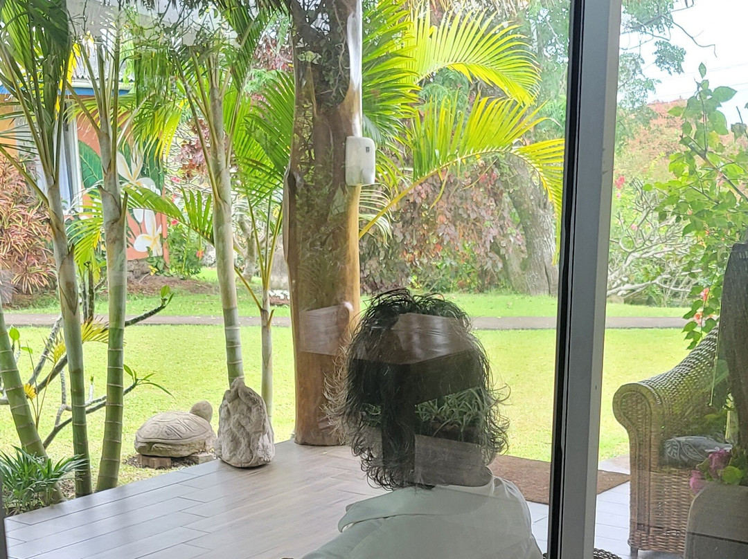 塔奥拉雅酒店主图