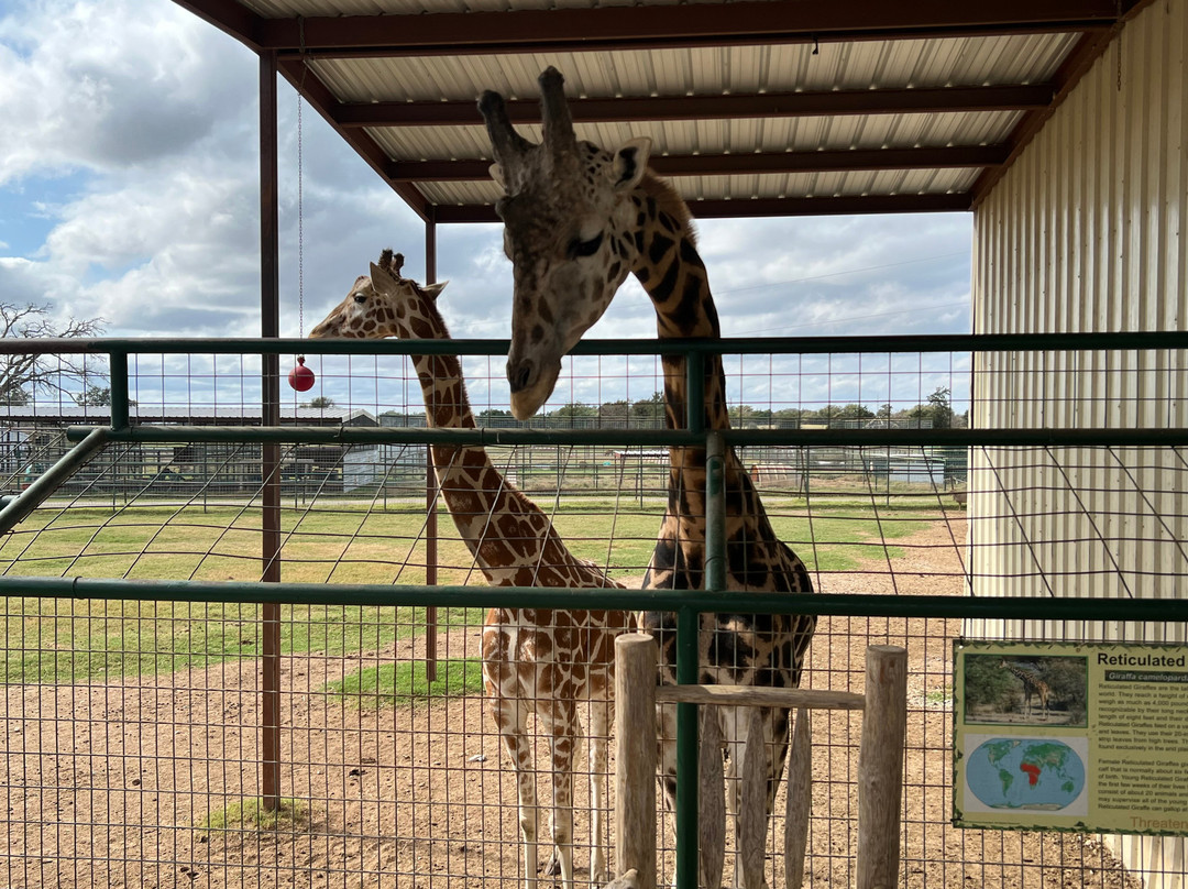 Franklin Drive Thru Safari-Franklin必去景点