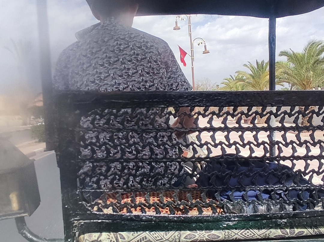 Taroudant Caleche Carriage Tours-塔鲁丹特必去景点