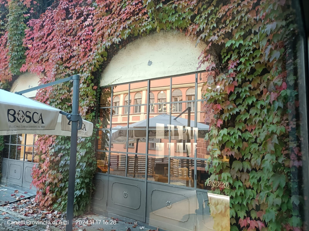 Cantine Bosca - Cattedrali Sotterranee景点图片