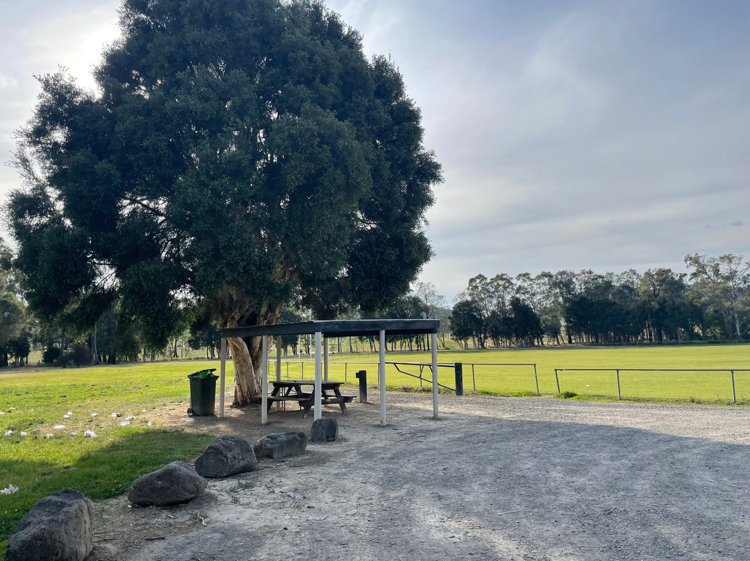 Dixon's Creek Reserve-Dixons Creek必去景点