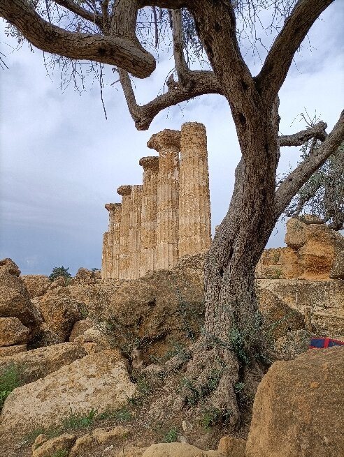 Tempio di Ercole景点图片