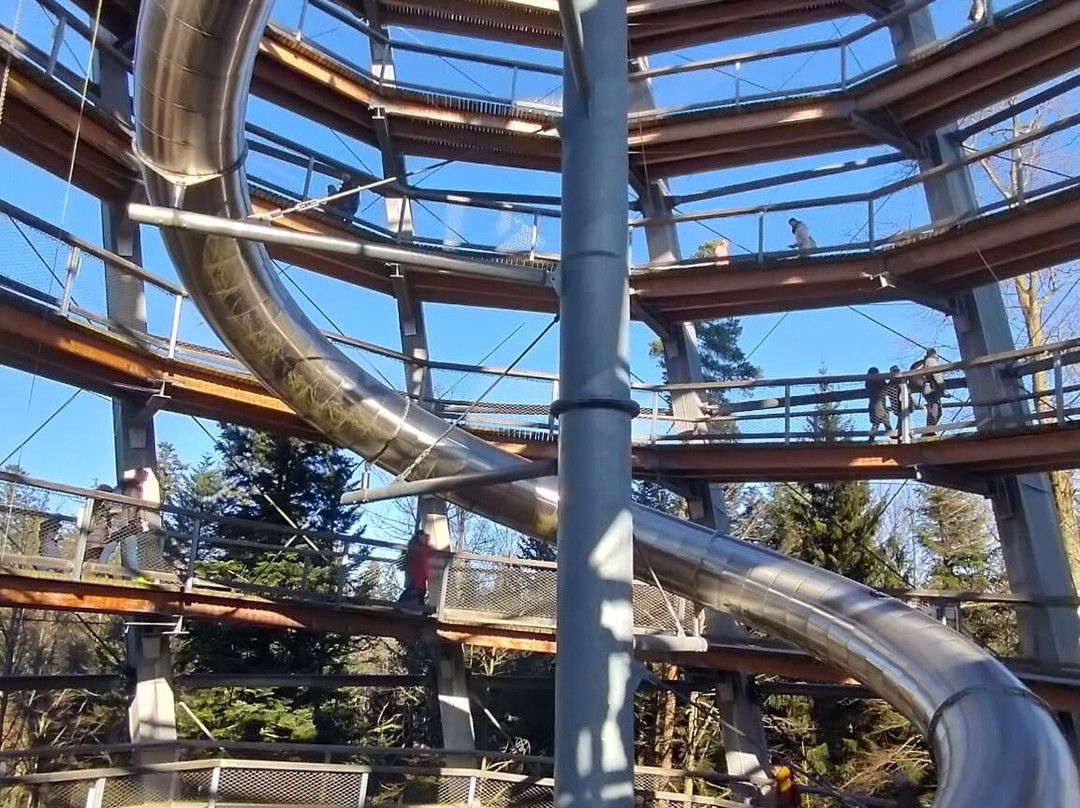 Baumwipfelpfad Schwarzwald景点图片