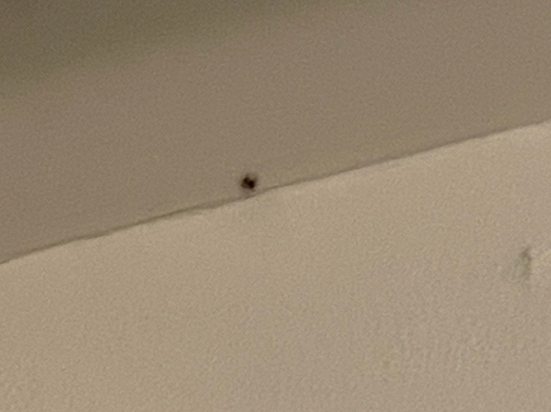 里德纳斯酒店&会议中心主图