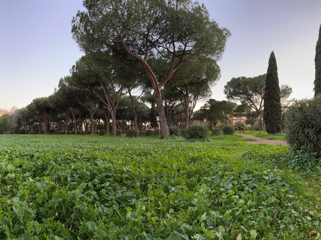 Villa Gordiani-罗马必去景点