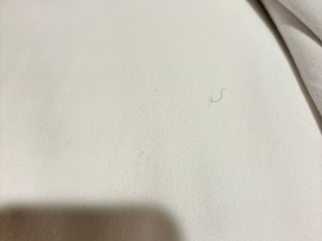 WoodSpring Suites Chesapeake-Norfolk South主图