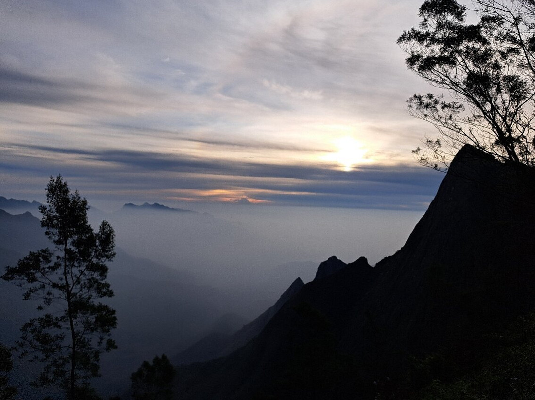 Kolukkumalai Tea Estate-Kottagudi必去景点