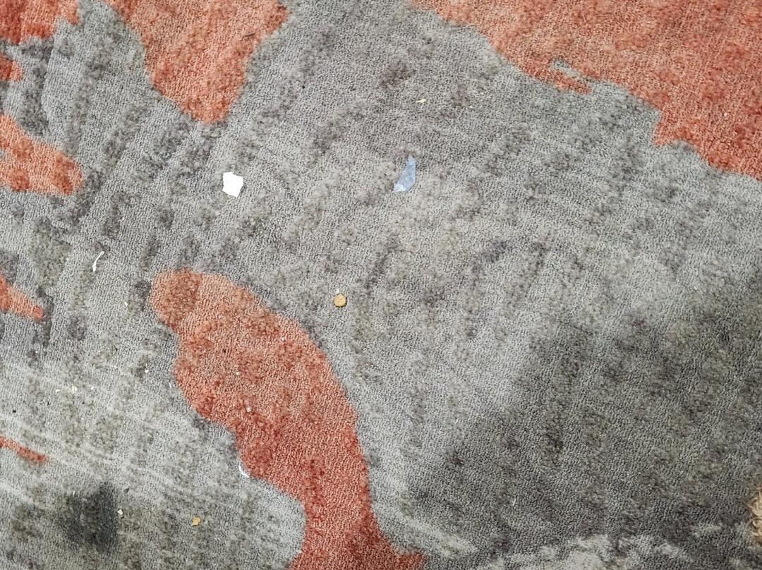 La Quinta Inn & Suites by Wyndham Hinesville - Fort Stewart主图