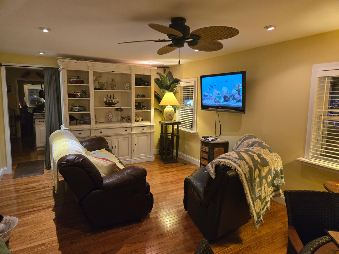 The White House On Freedom Way主图