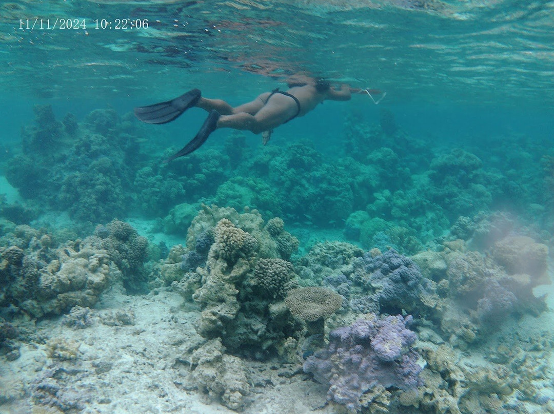 Tanoa Private Tour-波拉波拉岛必去景点