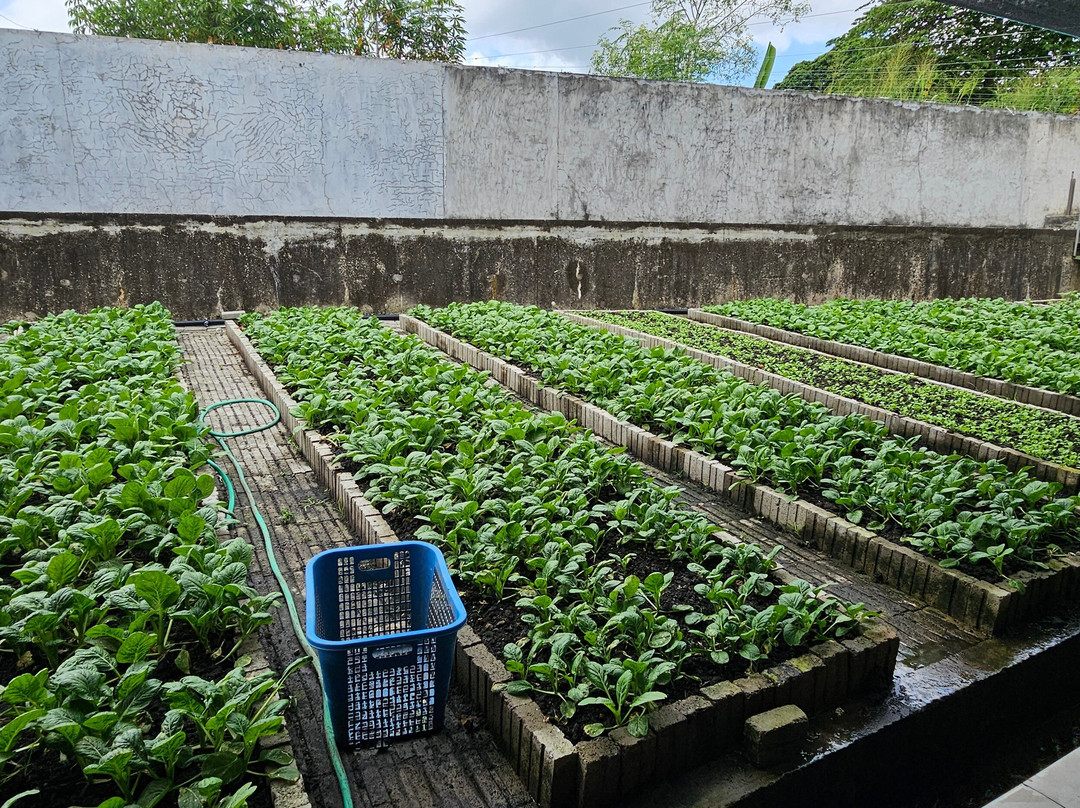Yun Fook Trading (kolam Ikan)